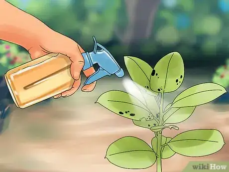 Imagen titulada Make Organic Pesticide Step 25