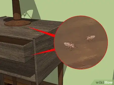 Imagen titulada Identify Bed Bug Bites Step 8