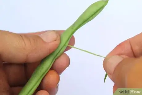 Imagen titulada Freeze Runner Beans Step 3