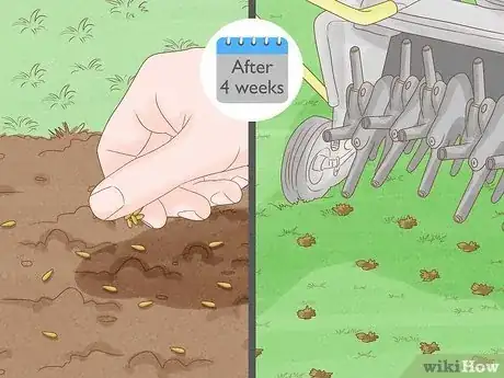 Imagen titulada Apply Weed and Feed Step 11