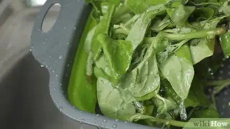 Imagen titulada Keep Spinach Fresh Step 11