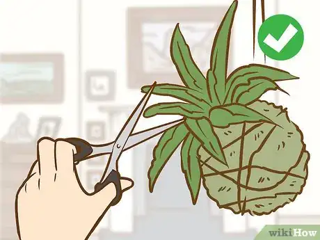 Imagen titulada Make a Kokedama Step 13