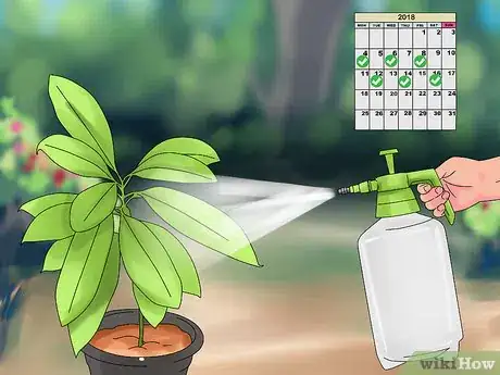 Imagen titulada Make Organic Pesticide Step 19