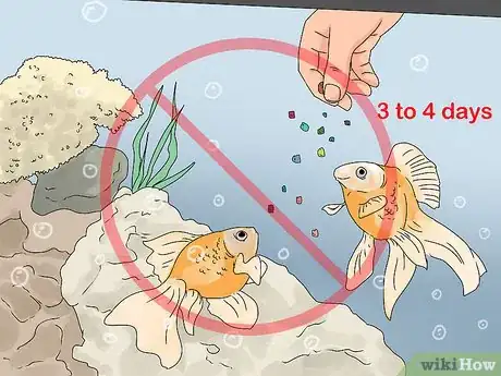 Imagen titulada Tell if Your Fish Is Dead Step 10