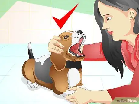 Imagen titulada Understand What Your Dog Wants Step 8