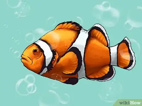 Imagen titulada Draw a Clownfish Step 8