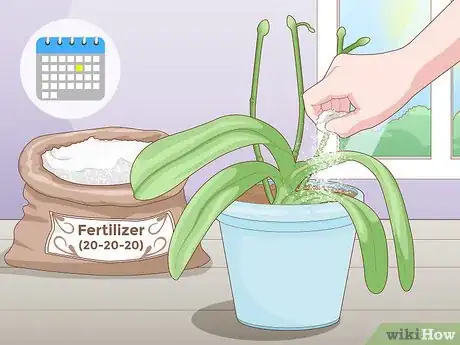 Imagen titulada Get Orchids to Rebloom Step 8