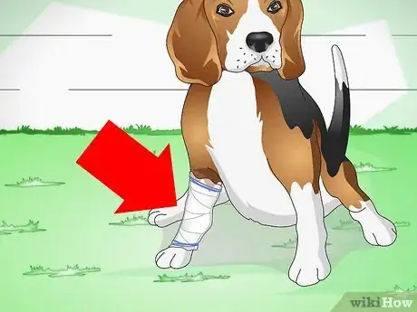 Imagen titulada Care for a Dog With Stitches Step 4