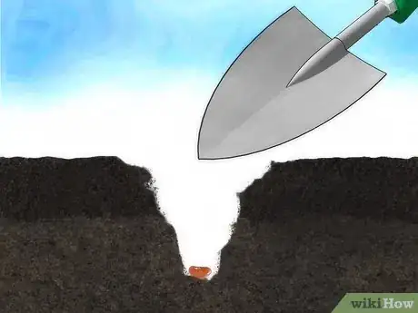 Imagen titulada Create a Vegetable Garden Step 7