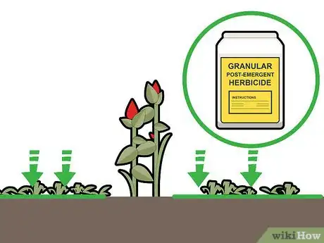 Imagen titulada Kill Grass Invading a Flower Bed Step 13