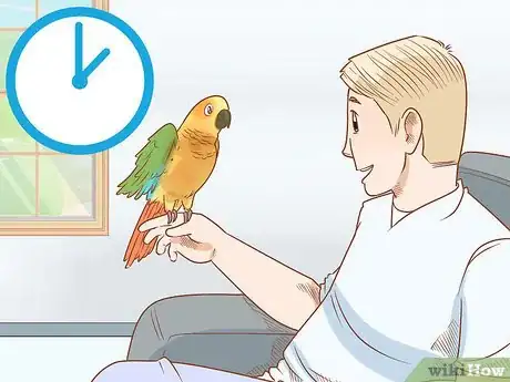 Imagen titulada Know if a Conure Is Right for You Step 8