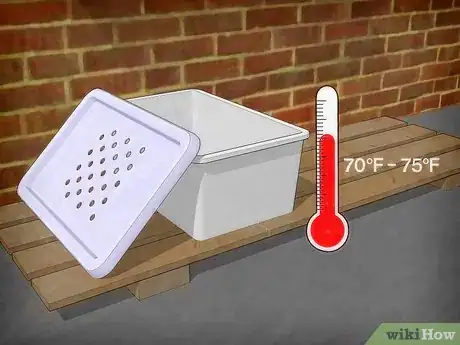 Imagen titulada Breed Mealworms Step 4