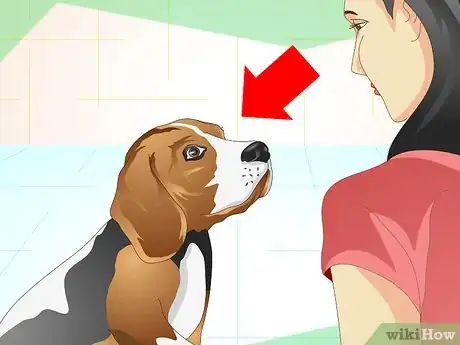 Imagen titulada Understand What Your Dog Wants Step 4