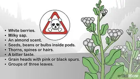 Imagen titulada Test if a Plant Is Edible Step 13