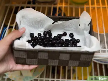 Imagen titulada Store Blueberries Step 8