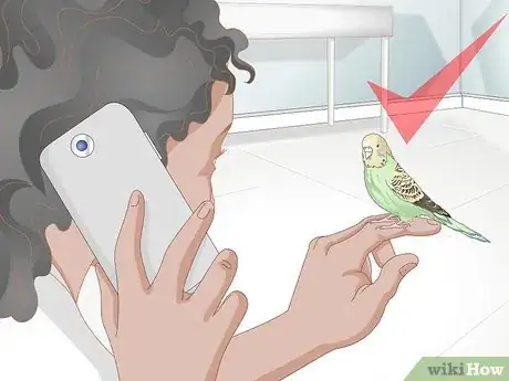 Imagen titulada Get Rid of Mites on Budgies Step 13