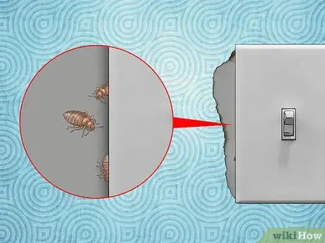 Imagen titulada Identify Bed Bug Bites Step 9