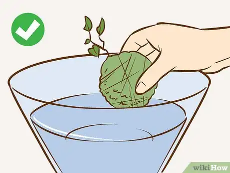 Imagen titulada Make a Kokedama Step 12