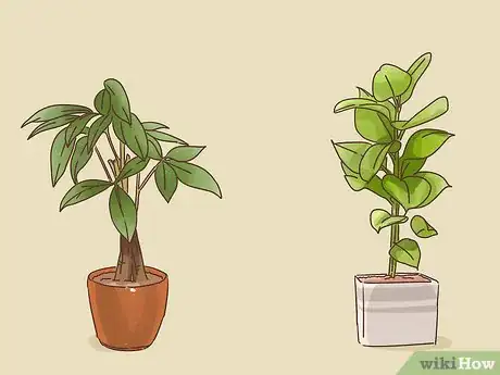 Imagen titulada Choose Plants for Good Feng Shui Step 12