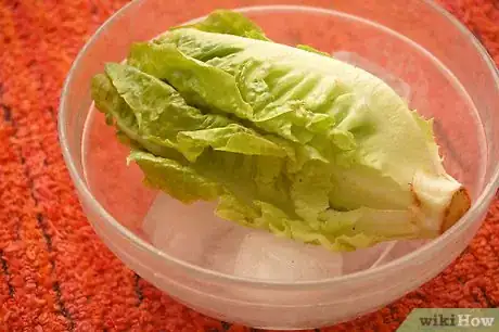 Imagen titulada Make Lettuce Extra Crispy Step 2