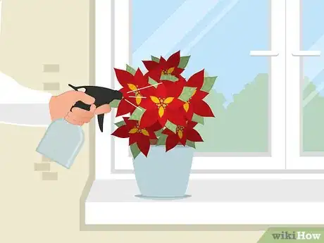 Imagen titulada Care for Poinsettias Step 9