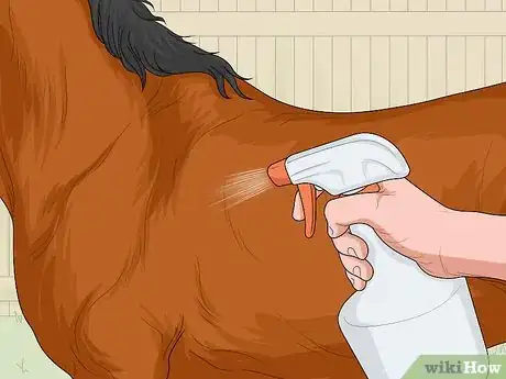 Imagen titulada Treat Horse Lice Step 3