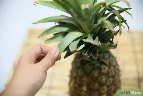 Imagen titulada Tell if a Pineapple Is Ripe Step 10