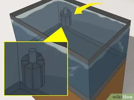 Imagen titulada Raise Brine Shrimp Step 6