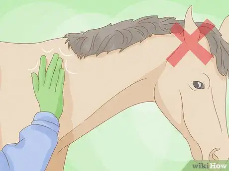 Imagen titulada Give a Horse an Injection Step 16