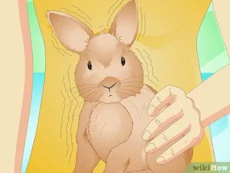 Imagen titulada Determine if Your Rabbit Is Sick Step 17