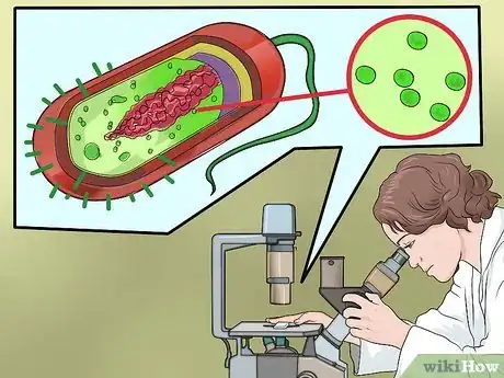 Imagen titulada Know the Difference Between Bacteria and Viruses Step 9