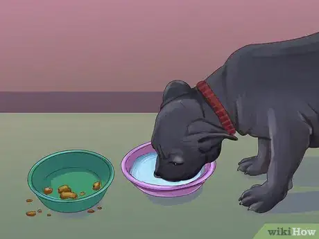 Imagen titulada Feed an American Bully Puppy Step 7