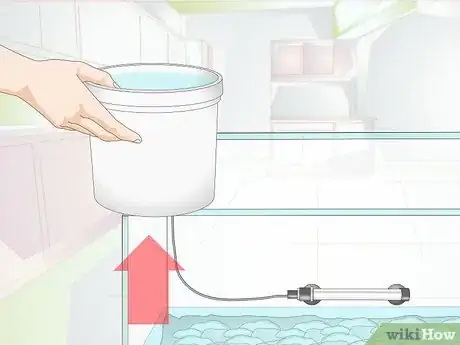 Imagen titulada Clean Aquarium Gravel Step 16