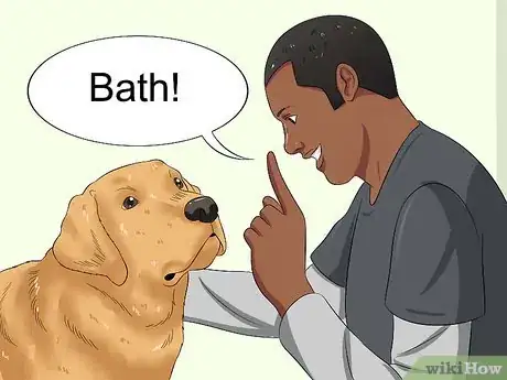 Imagen titulada Bathe a Dog and Keep It Calm Step 7