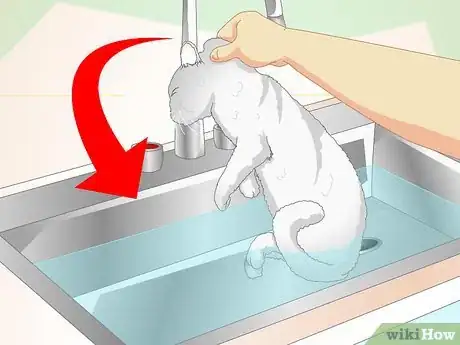 Imagen titulada Inconspicuously Bathe a Cat Without Being Scratched Step 6