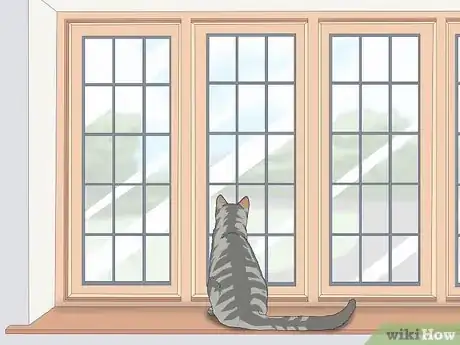 Imagen titulada Keep a Cat Indoors Step 7