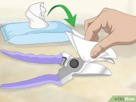 Imagen titulada Disinfect Gardening Tools Step 2