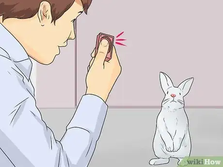 Imagen titulada Teach Your Rabbit to Come when Called Step 11