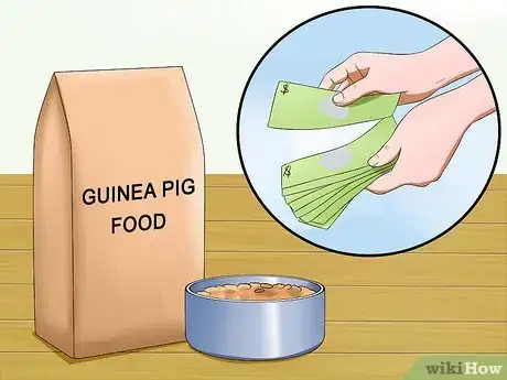 Imagen titulada Buy a Guinea Pig Step 5