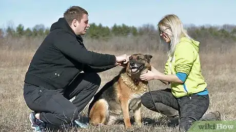 Imagen titulada Use a Prong Collar on Dogs Step 1