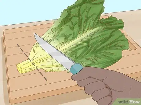 Imagen titulada Keep Lettuce Fresh Step 1