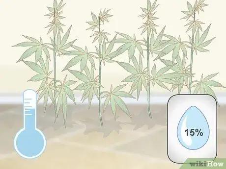 Imagen titulada Grow Hemp Step 9