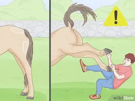 Imagen titulada Give a Horse an Injection Step 12