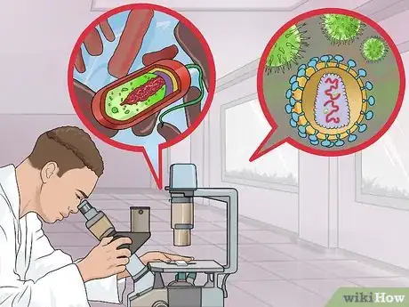 Imagen titulada Know the Difference Between Bacteria and Viruses Step 7