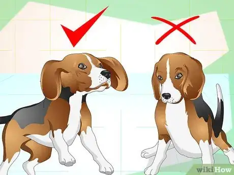 Imagen titulada Understand What Your Dog Wants Step 6