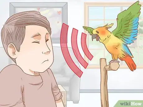 Imagen titulada Know if a Conure Is Right for You Step 3