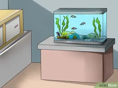 Imagen titulada Plan an Aquarium Step 8