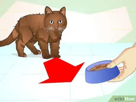 Imagen titulada Teach Your Cat to Do Tricks Step 11