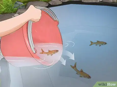 Imagen titulada Build Your Own Fishing Pond Step 16