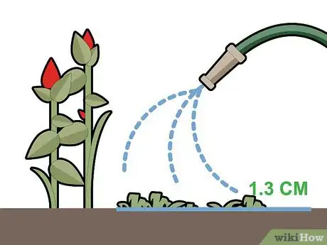 Imagen titulada Kill Grass Invading a Flower Bed Step 14